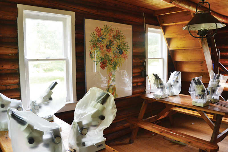 Campers at Eco-Adventure use microscopes to study biological samples on Elbow Lake.