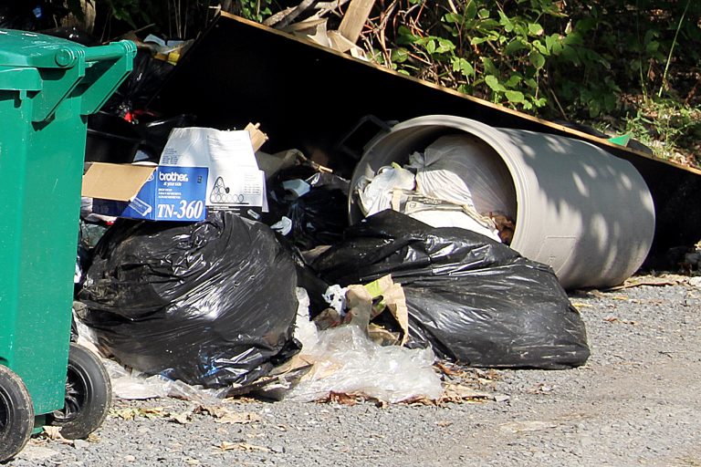 The one garbage bag bylaw has posed a challenge for students dealing with garbage illegally dumped on their properties.