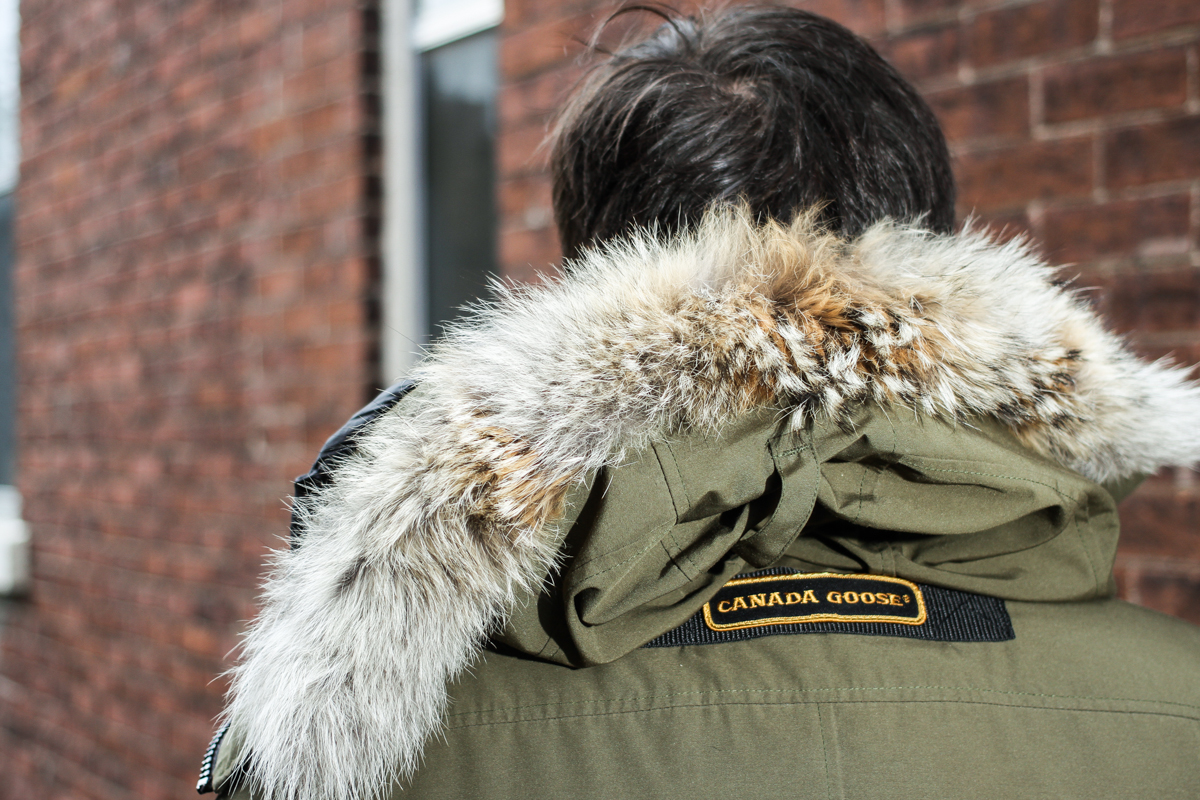 The hood on the popular Canada Goose jacket is trimmed with coyote fur.