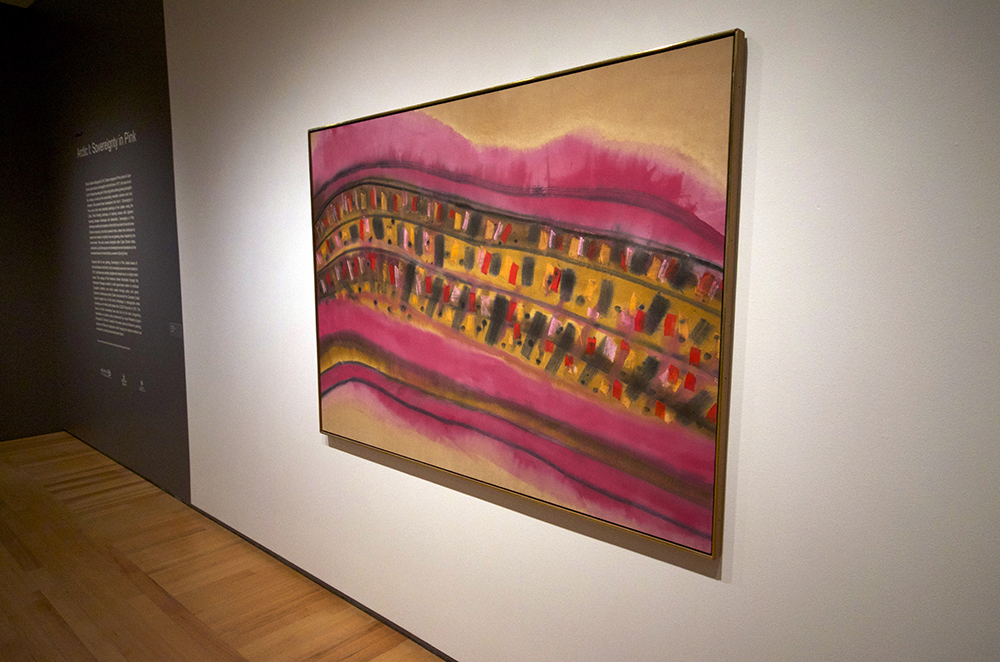 Arctic I: Sovereignty in Pink challenges traditional perceptions of the North.