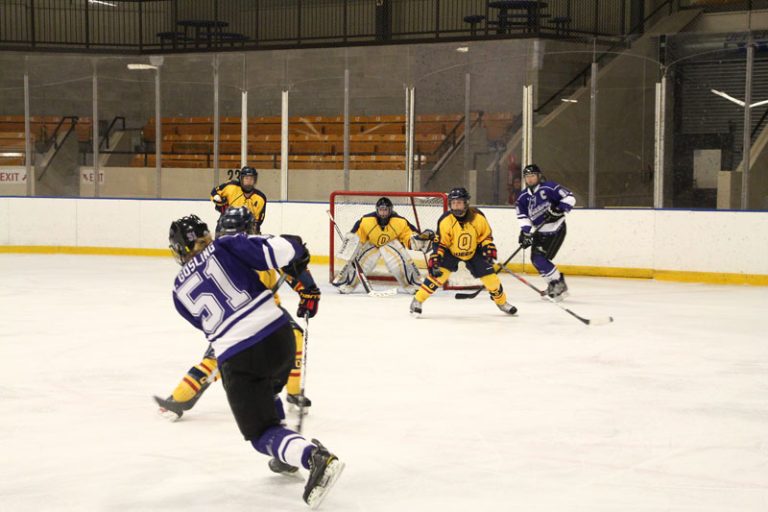 Gaels goaltenders Karissa Savage and Mel Dodd-Moher have rotated throughout the playoffs