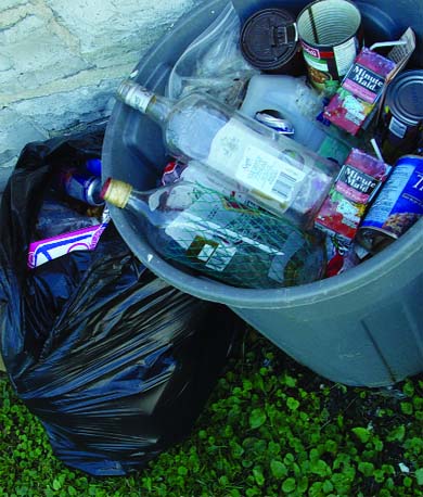 How good-looking does garbage have to be to attract the garbage man?