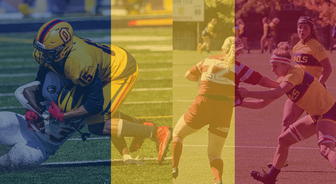 This year's Colour Awards were held online.