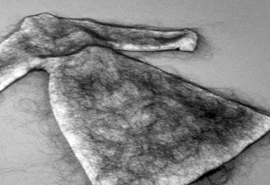 Fariba Samsami’s “Memory of Body.”