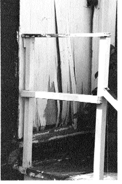 Students cite mould