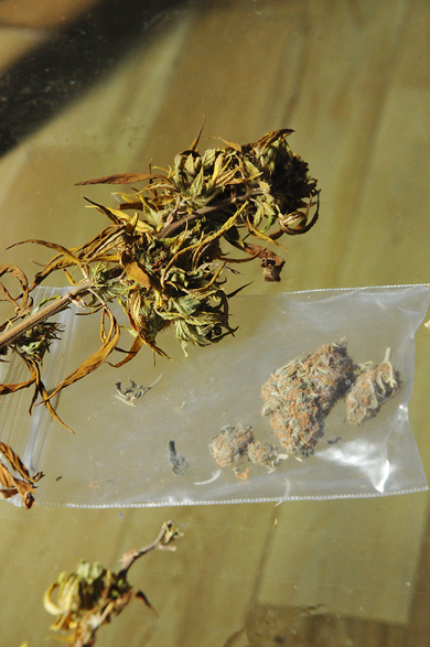 An estimated 10 million Canadians say they have used marijuana at least once in their lives.