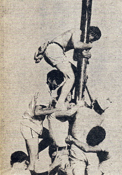 Sci ’73 students fear the pit as they climb the grease pole during frosh week in 1969.