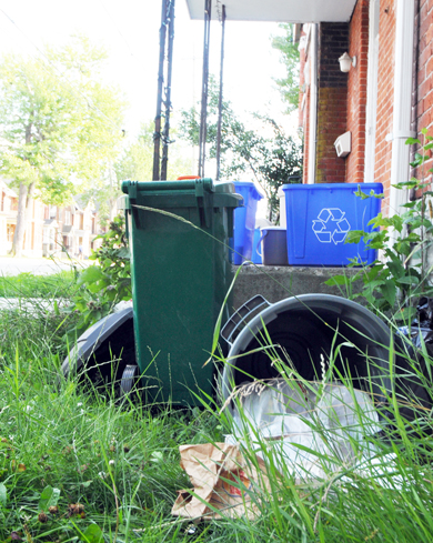 Under the proposed public nuisance bylaw