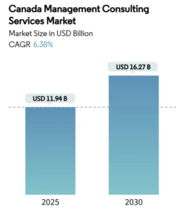 Inside the Queen’s consulting pipeline: How students are climbing the consulting career ladder